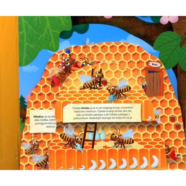 Čebelji panj: 3D model panja