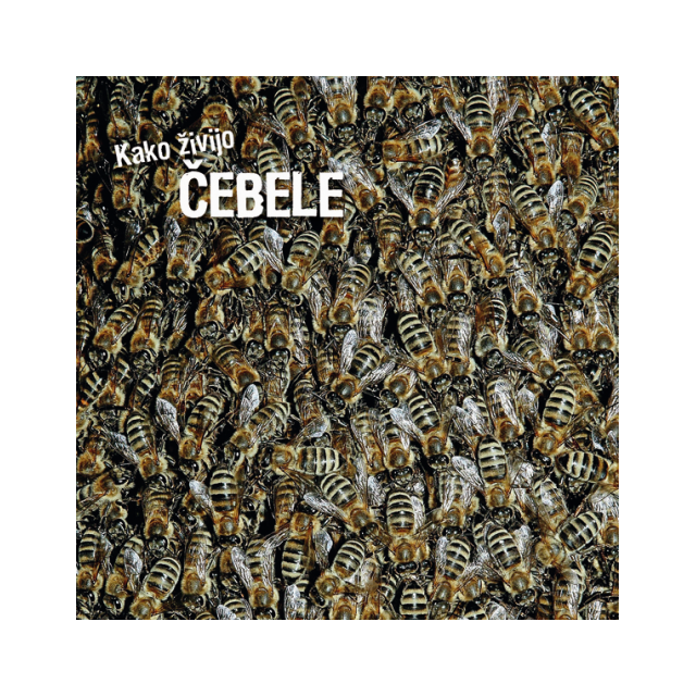 Kako živijo čebele