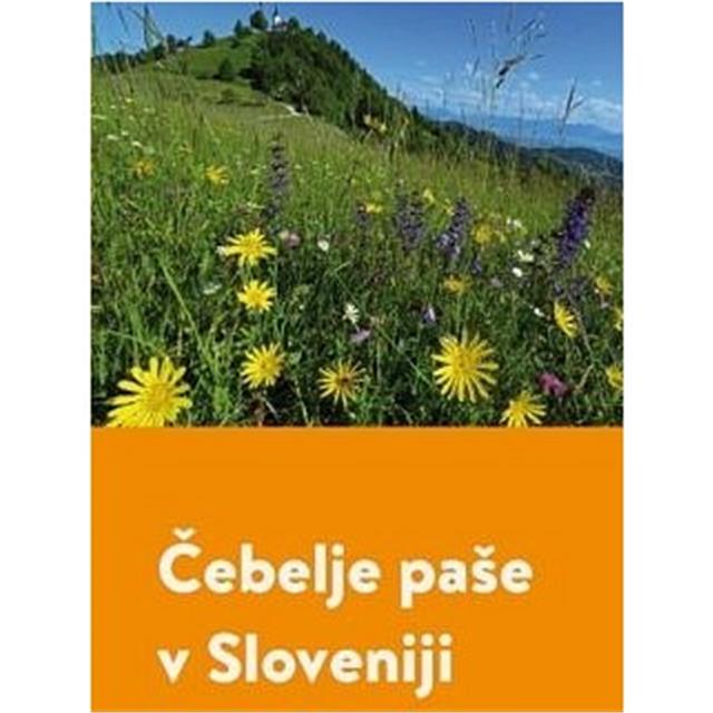 Čebelje paše