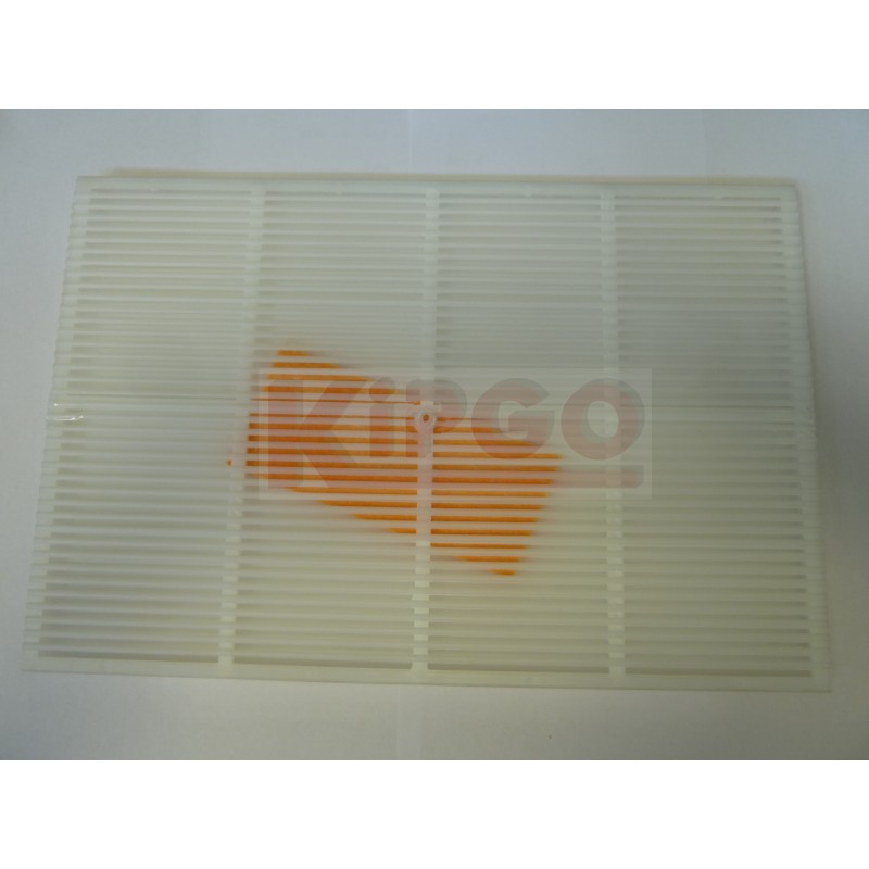 Controlla varroa in plastica