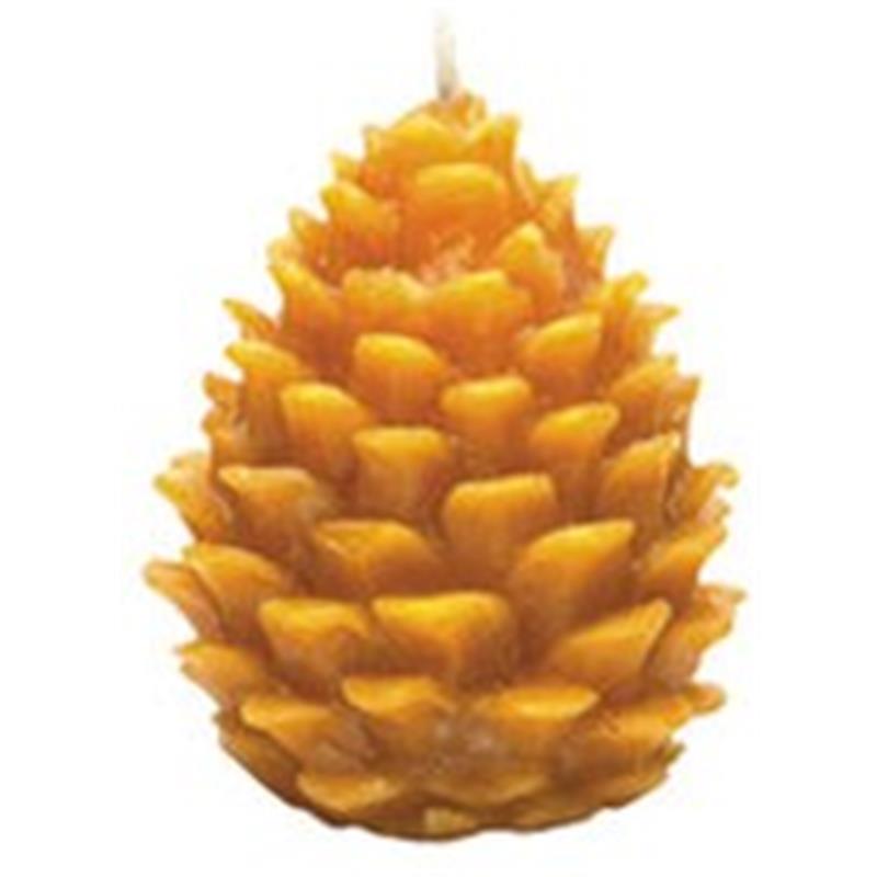 Fir-cone