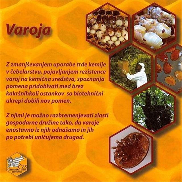 DVD: Varoja