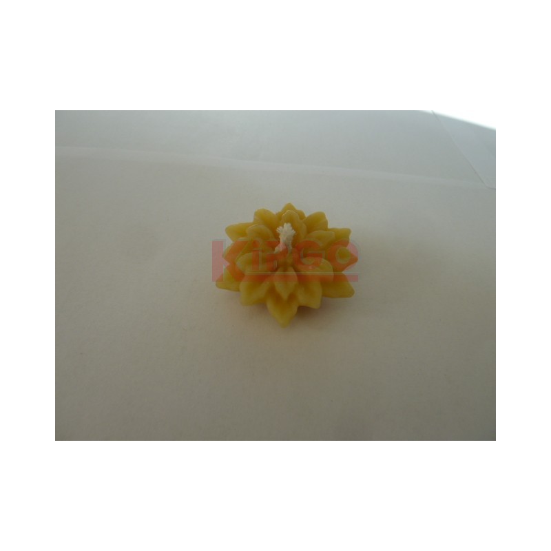 Model: Roža plavajoča