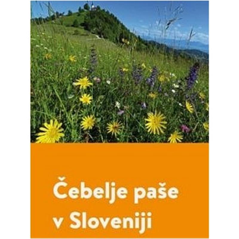 Čebelje paše