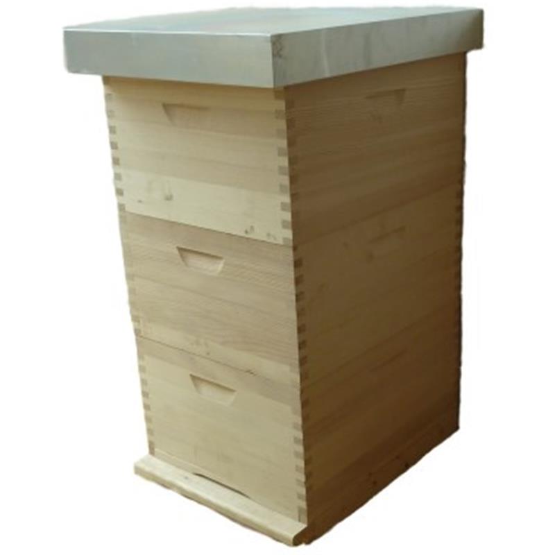 Bee hive LR, varroa screen