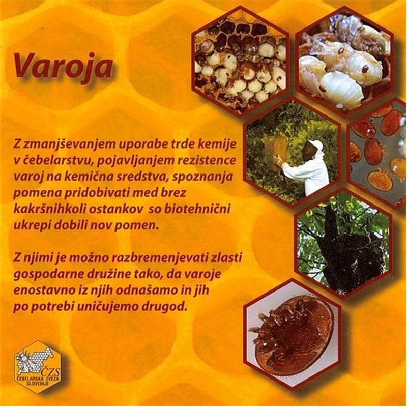 DVD: Varoja